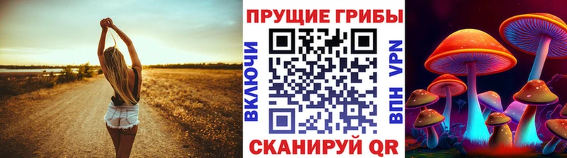 Галлюциногенные грибы мицелий  Купить где  Карабаново 