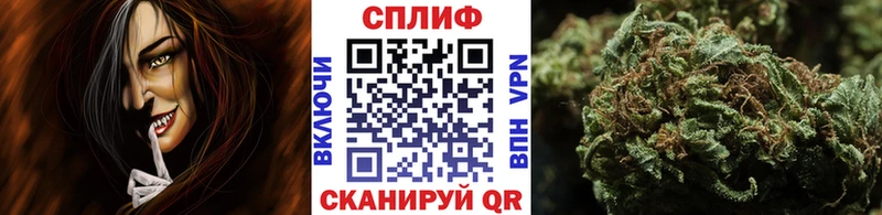Бошки марихуана тримм  Купить  Карабаново 